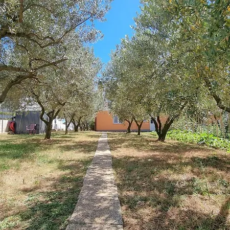 Barbara Novigrad Istria