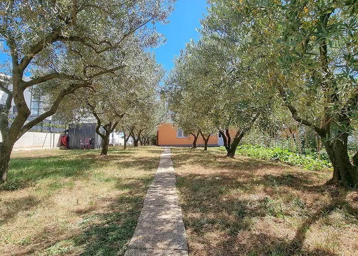 Barbara Novigrad Istria